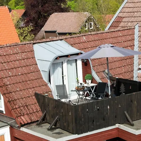 Harzer Rabe * Braunlage
